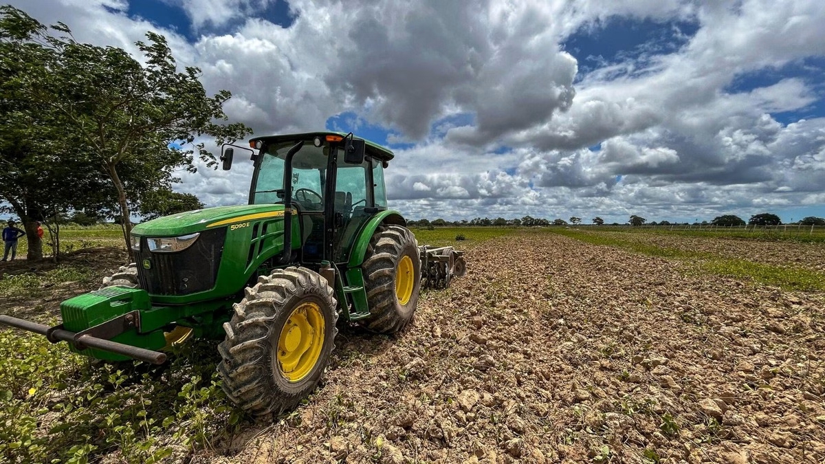 Prefeitura de Penedo incentiva produção de arroz com assistência técnica