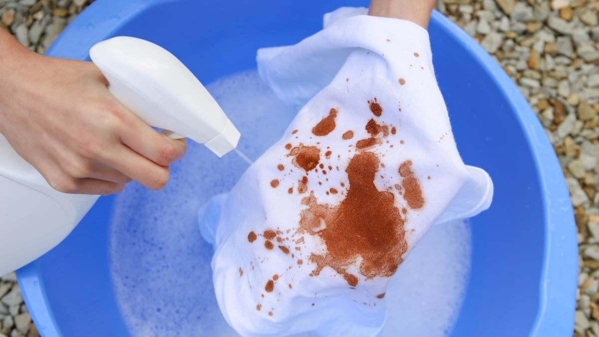 Espray Quitamanchas Popular no TikTok e na Amazon