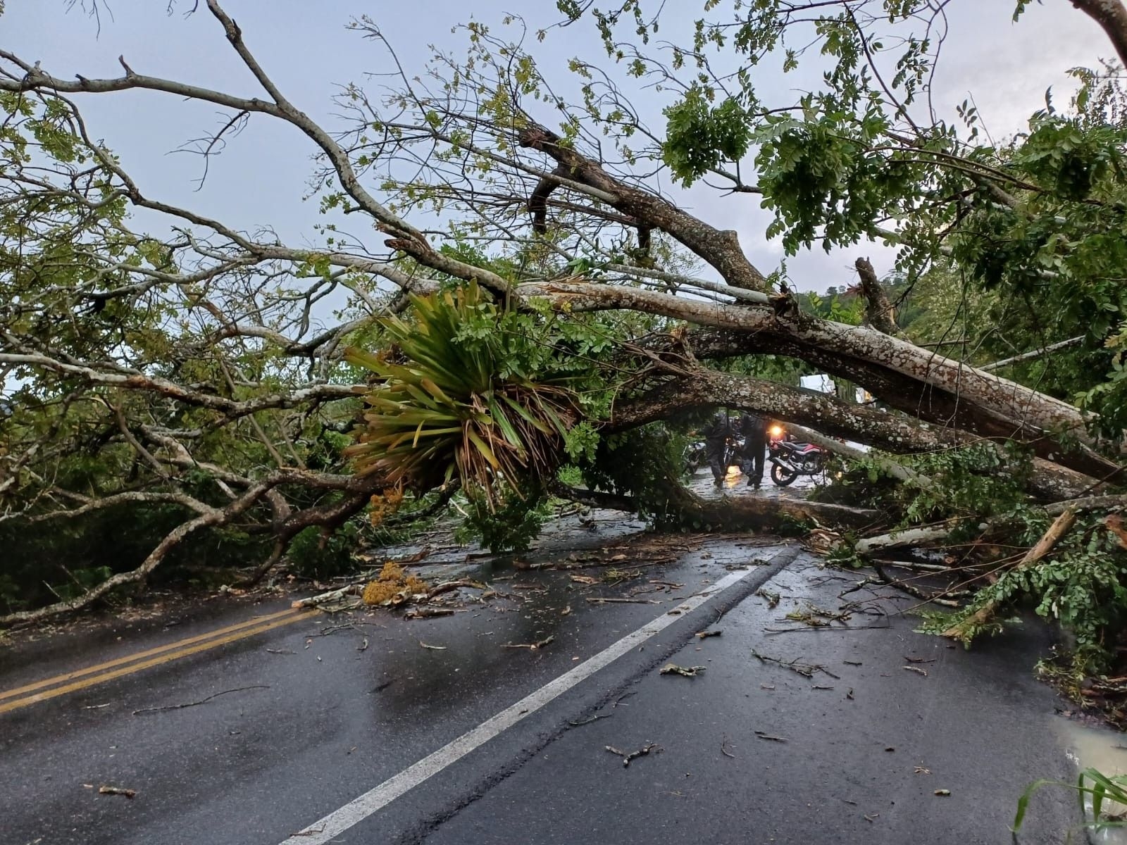 Rodovia interditada em AL devido a deslizamentos de rochas
