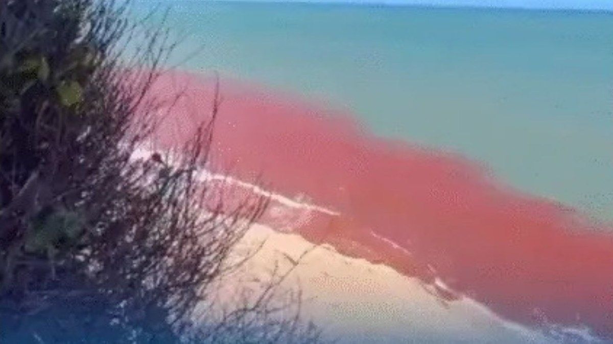 Água do mar em Pipa ganha cor vermelha e intriga moradores