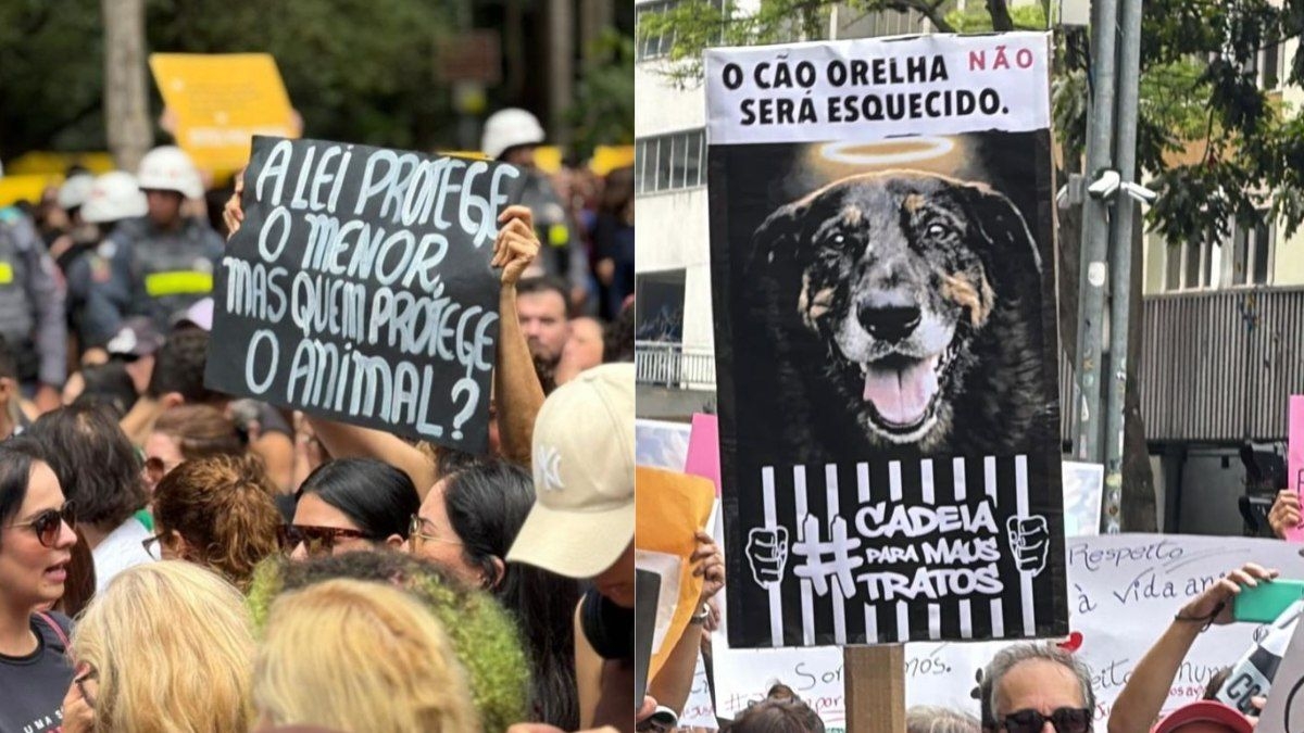 Protestos pela Morte do Cão Orelha Ganham o Brasil
