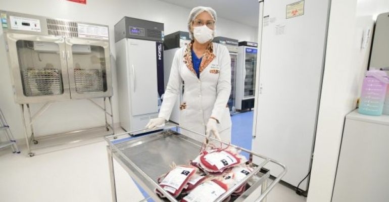 Hemoal está com estoque crítico de sangue para atender pacientes no estado