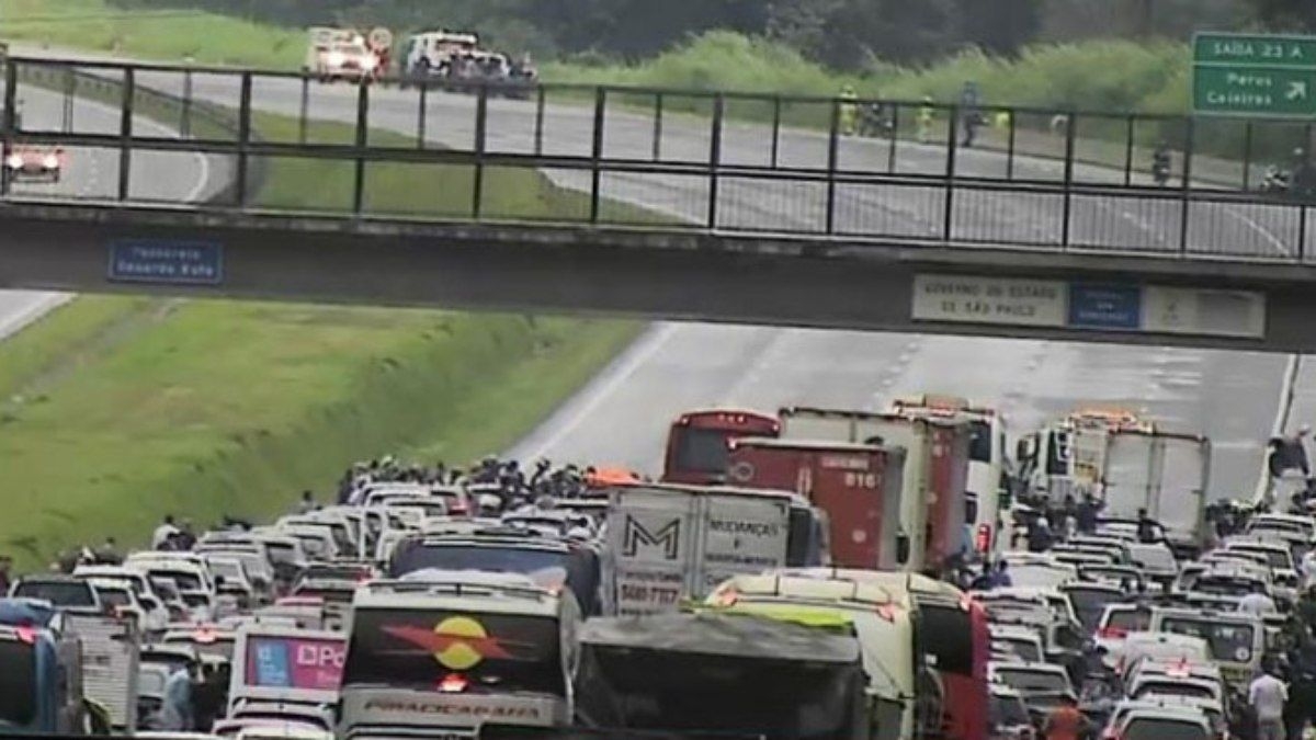 Homem morre atropelado ao tentar retirar boi em rodovia