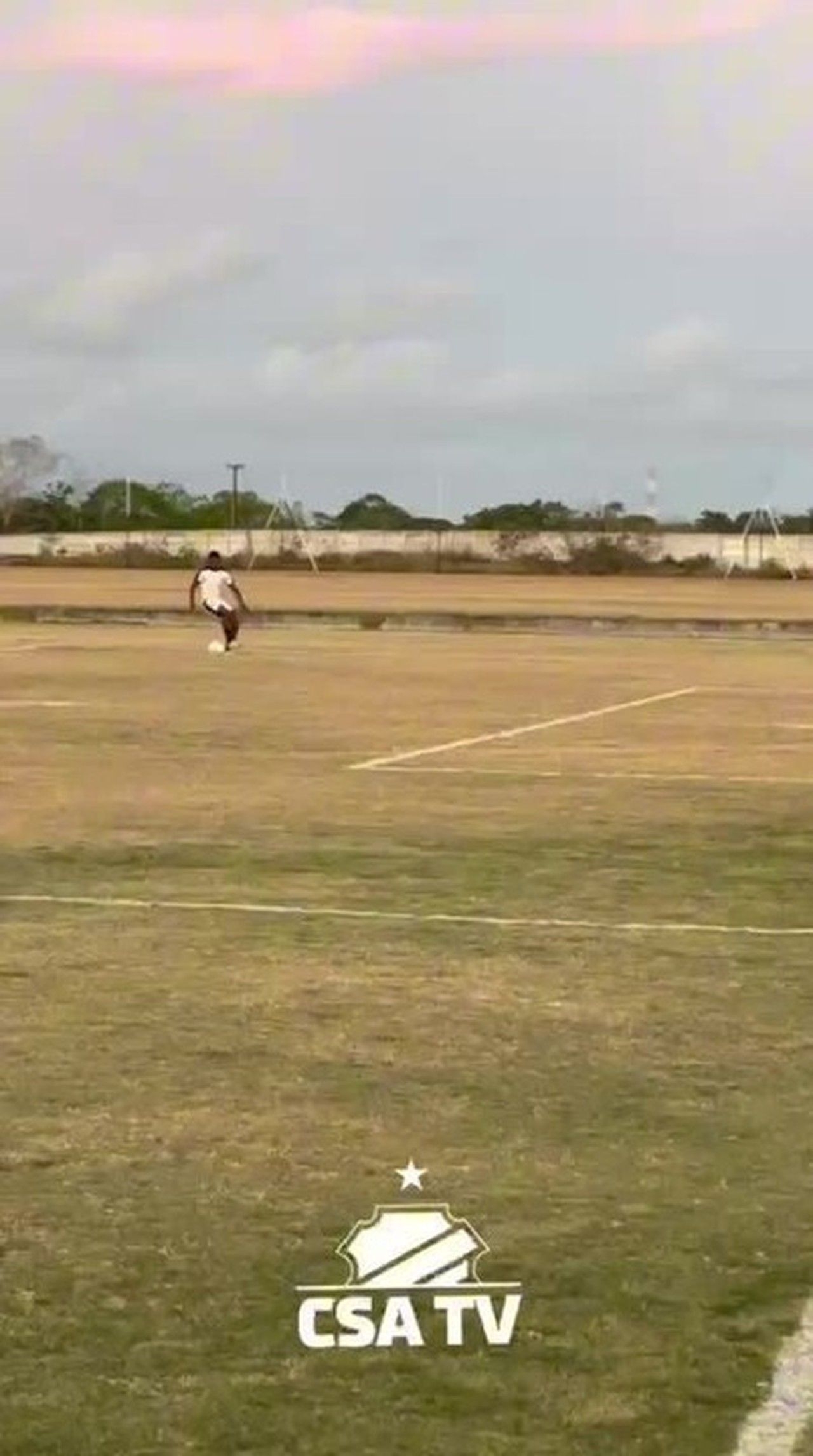 Rodas detalha situação dos gramados do CT do CSA