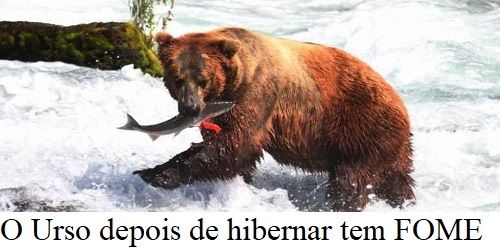 Na política, o gelo esconde as marcas enquanto o fogo desidrata e mostra