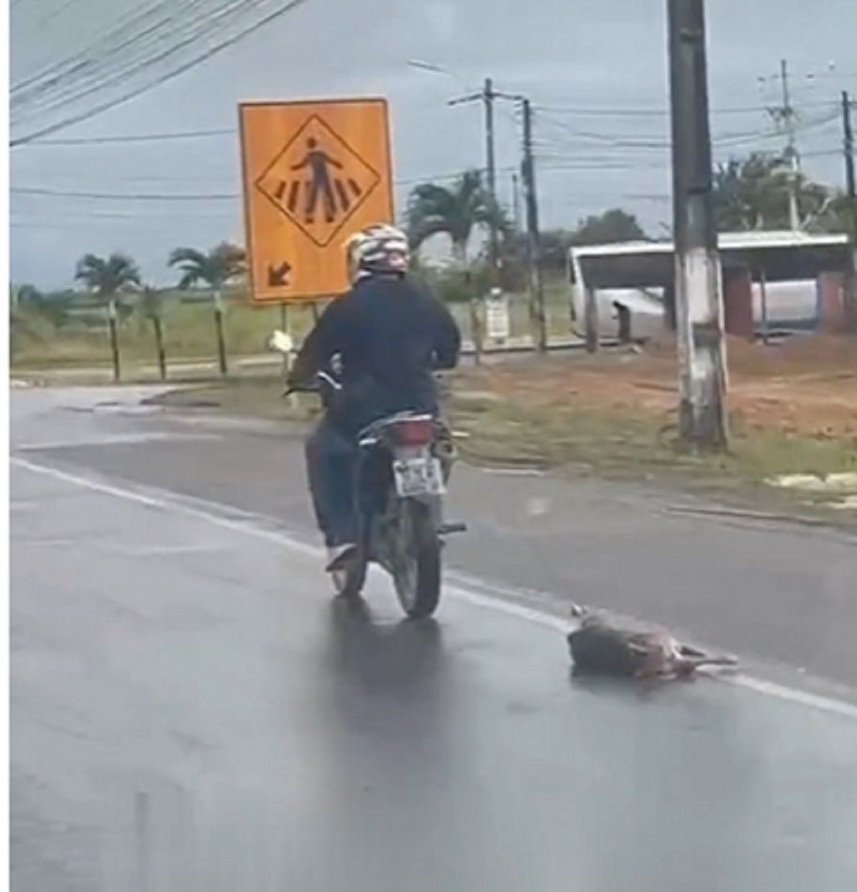 Polícia Civil identifica dono de motocicleta por maus-tratos a cachorro