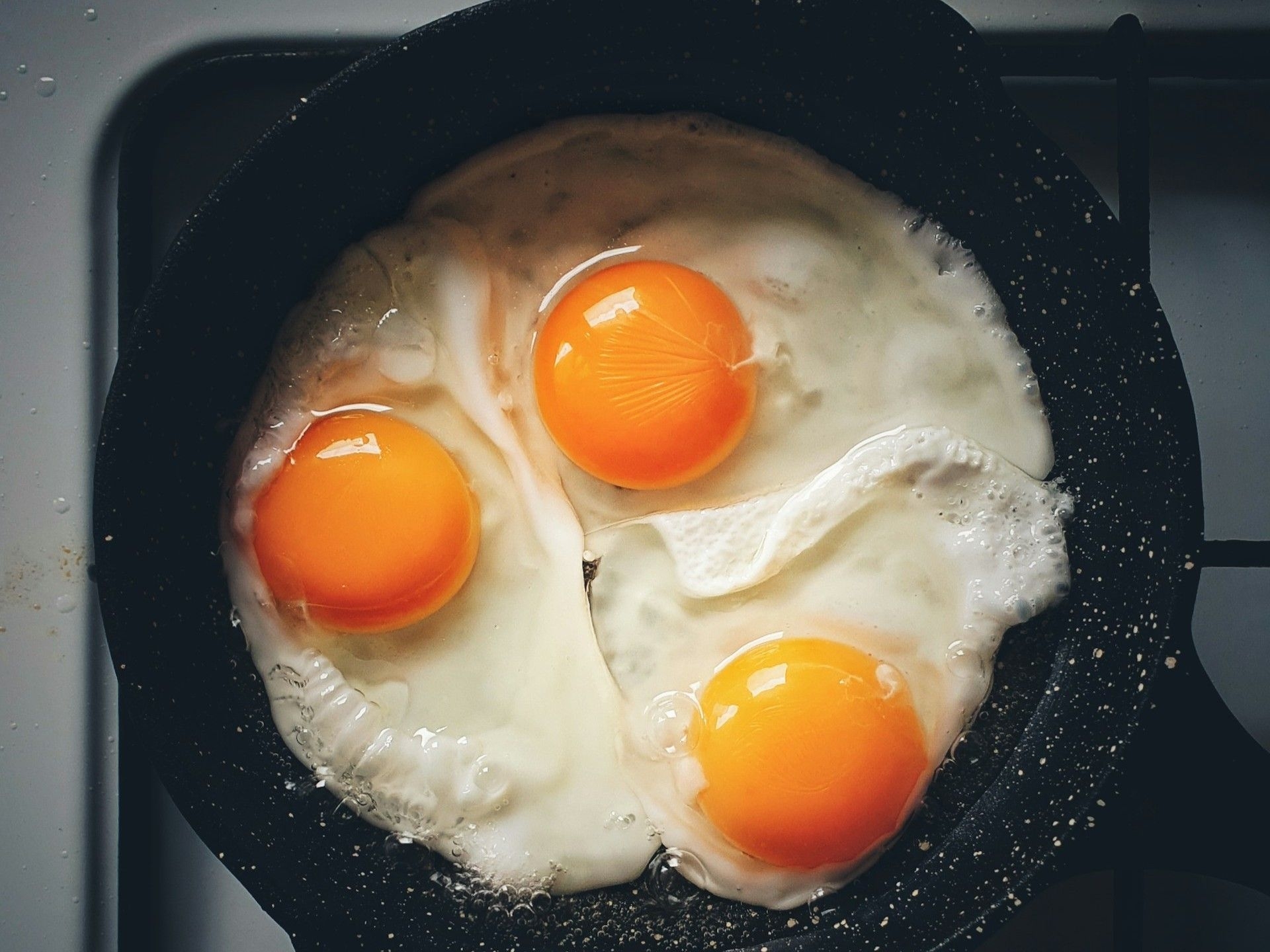 Ovo e colesterol: O que especialistas recomendam sobre gorduras