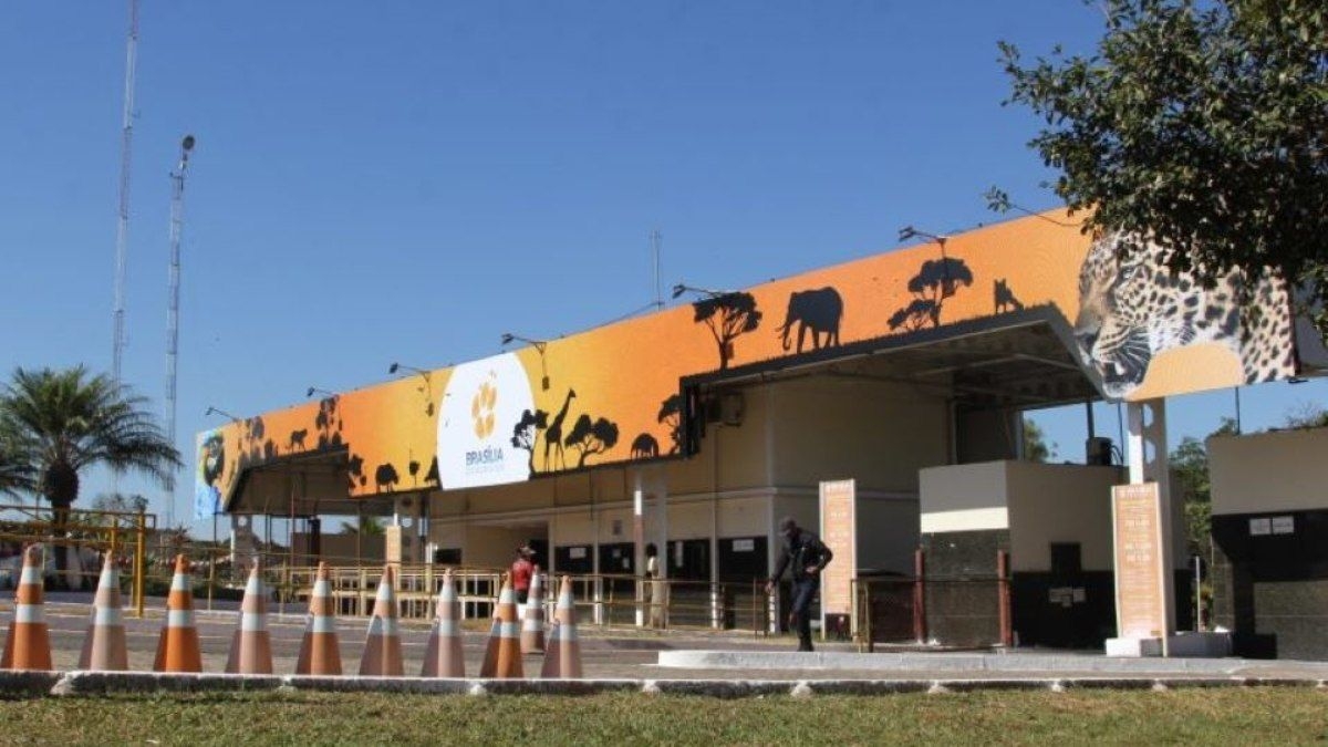 Interdição do zoológico prossegue após suspeita de gripe aviária