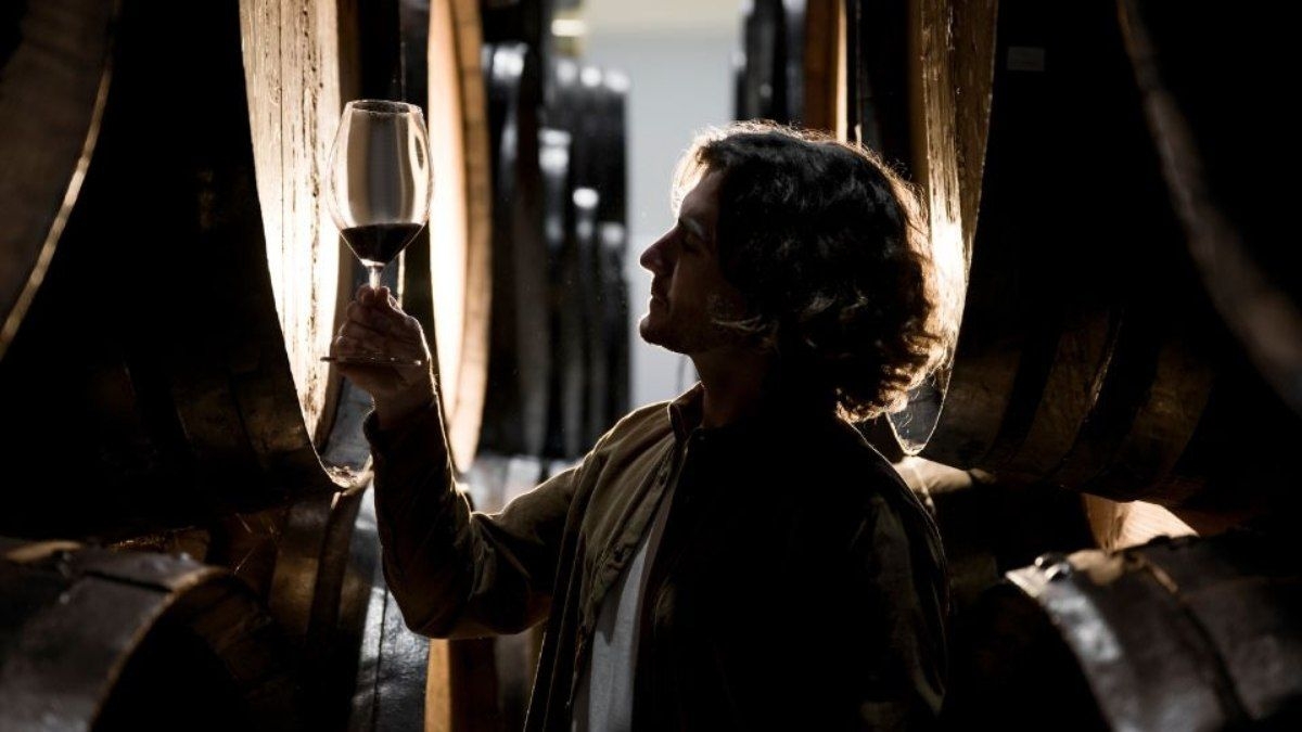 Destaques dos vinhos brasileiros em concurso na Espanha