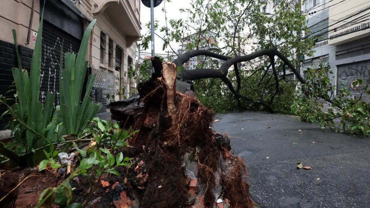Defesa Civil de SP alerta para temporais e ventos fortes