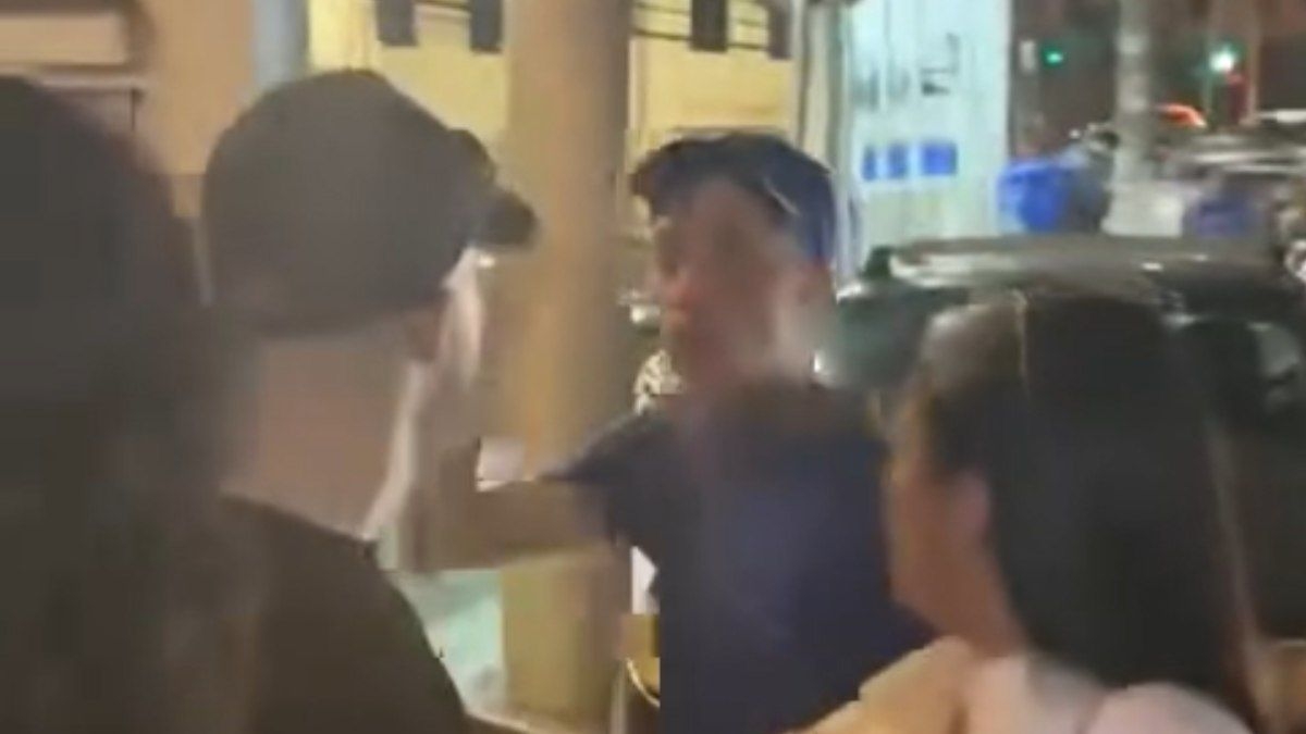 Vídeo de Zóio de Gato com PCC viraliza e choca