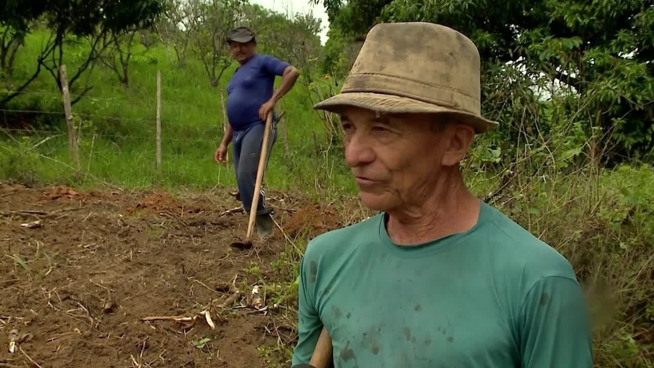 Alagoas promove boa safra com incentivo aos pequenos produtores