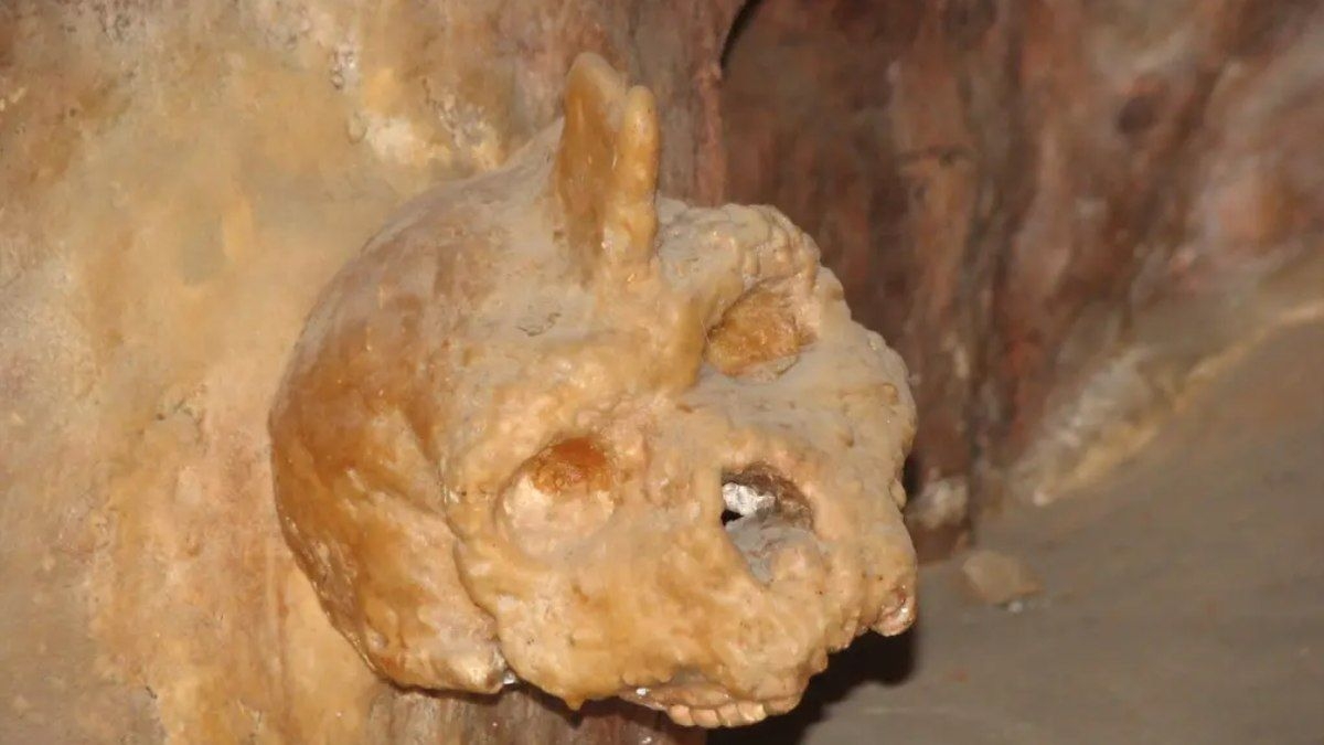 Fóssil de 300 mil anos pode ser nova espécie humana