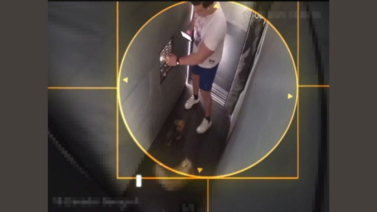 Empresário é filmado passeando após matar gari em BH