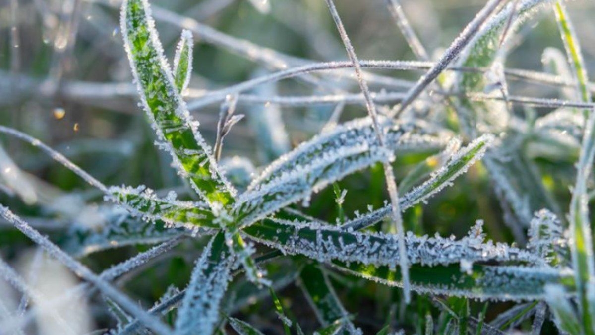 Frio extremo em MG com mínimas de -7°C no Sul