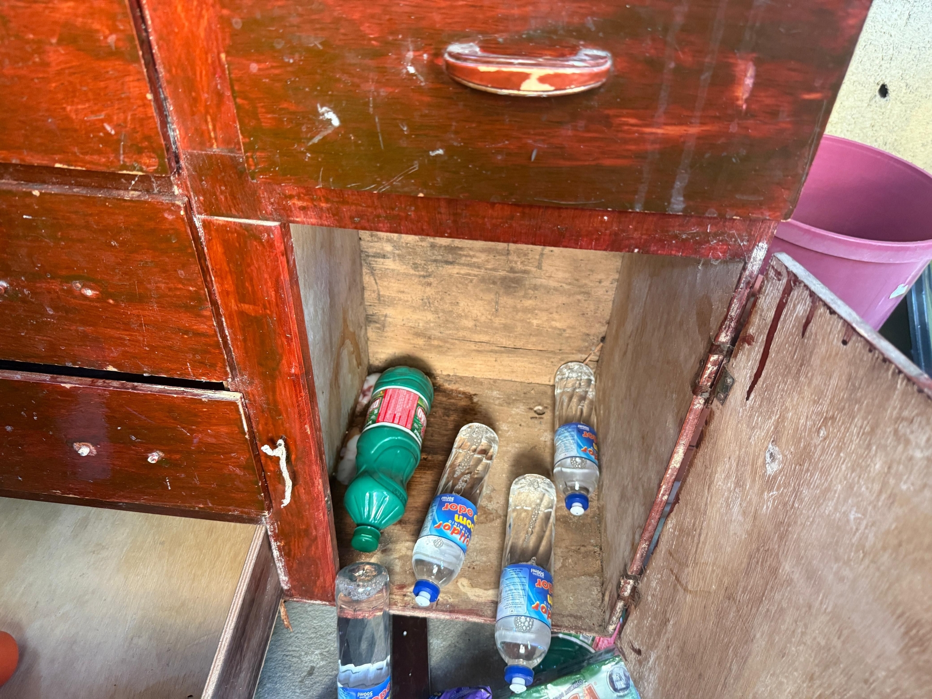 Mãe de Ana Beatriz indiciada por homicídio qualificado em AL