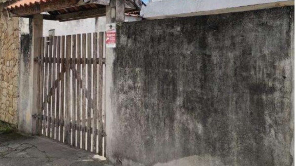 Pitbull ataca casal e mata shih-tzu em SP