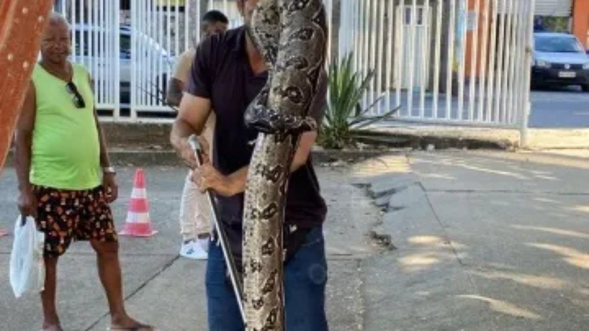 Cobra surpreende estudantes na Universidade Federal da Bahia