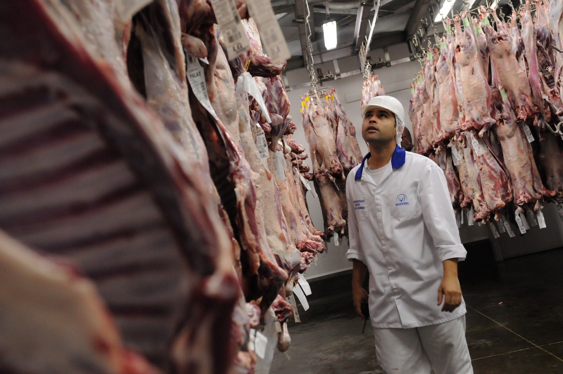 Brasil e Austrália buscam ampliar cota de carne para China