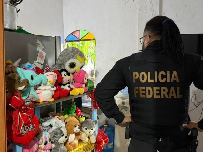 Megaoperação contra abuso infantil mobiliza 17 estados