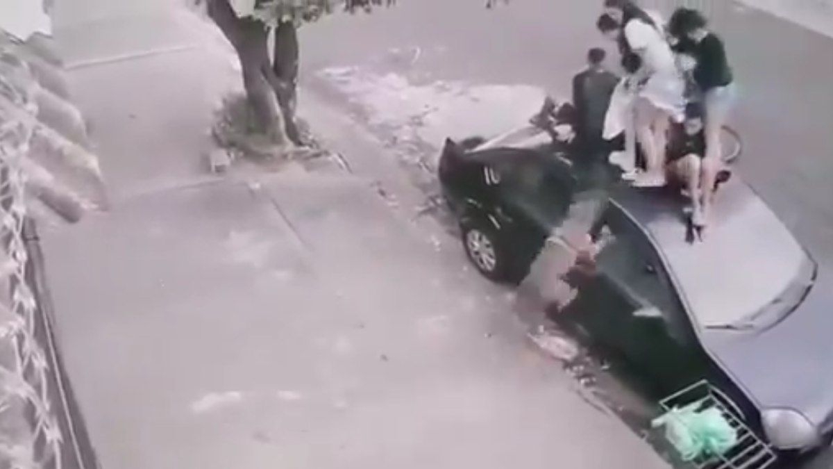 Crianças fogem de ataque de pitbull em Jaboticabal