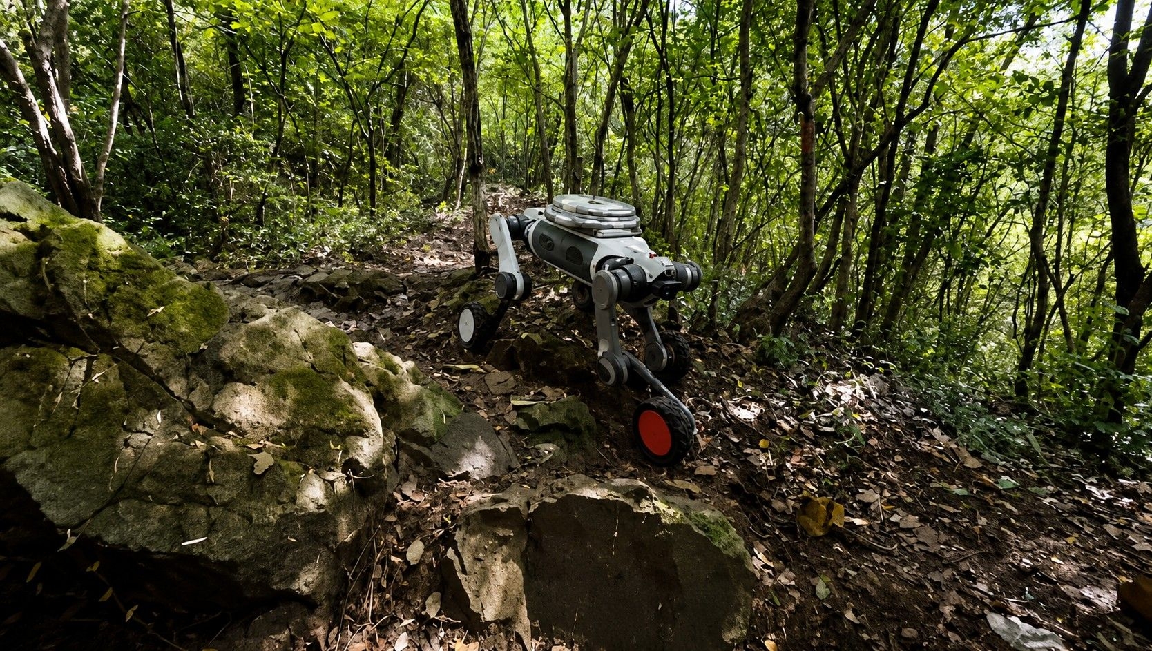 Lynx M20S: O 'Cão-robô' que Enfrenta Terrenos Extremados