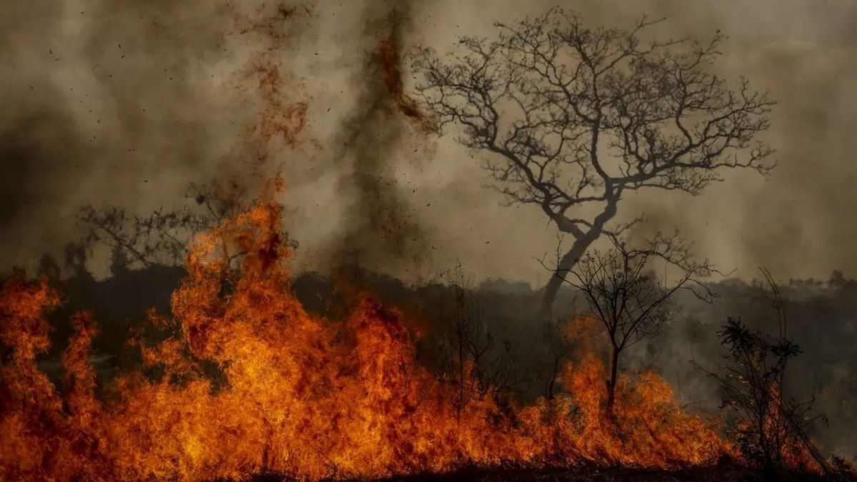 São Paulo convoca população para prevenir incêndios este mês