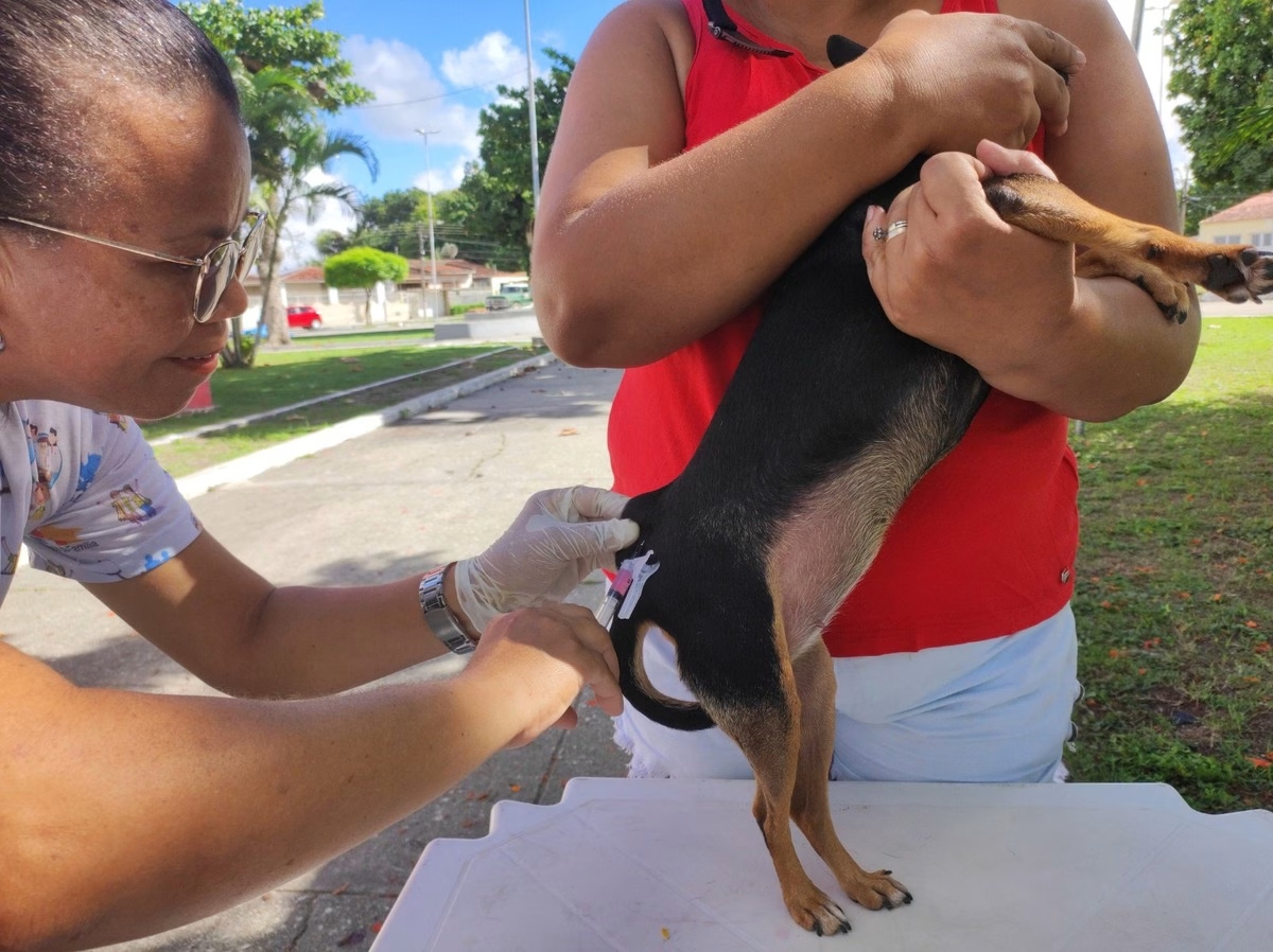 Penedo supera meta de vacinação antirrábica 2025
