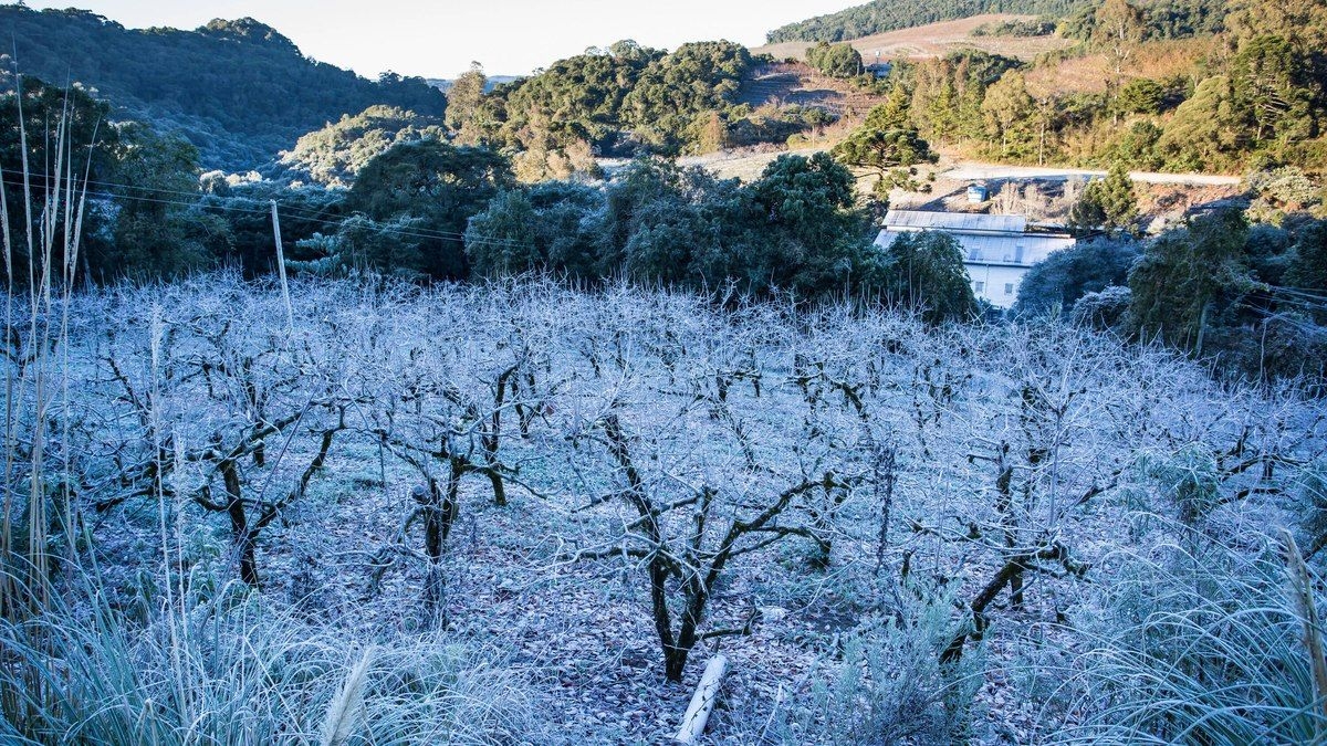 Geadas ameaçam São Paulo em 15 cidades neste sábado