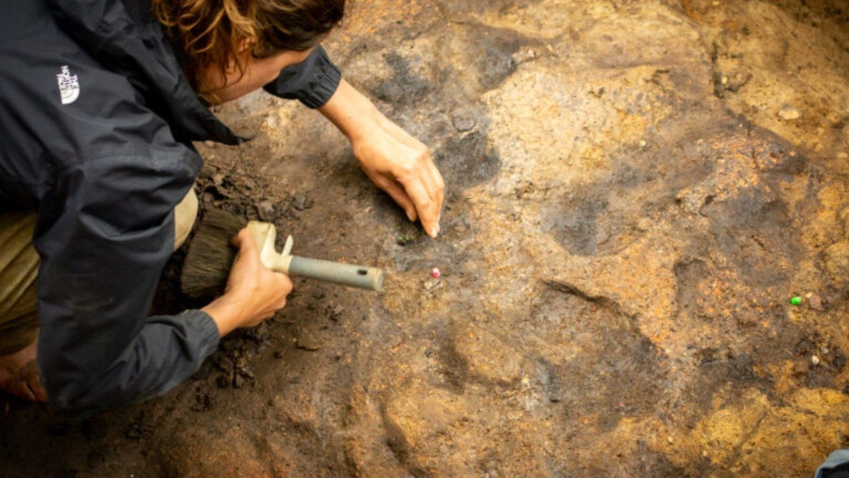 Descoberta revela controle do fogo por humanos há 400 mil anos