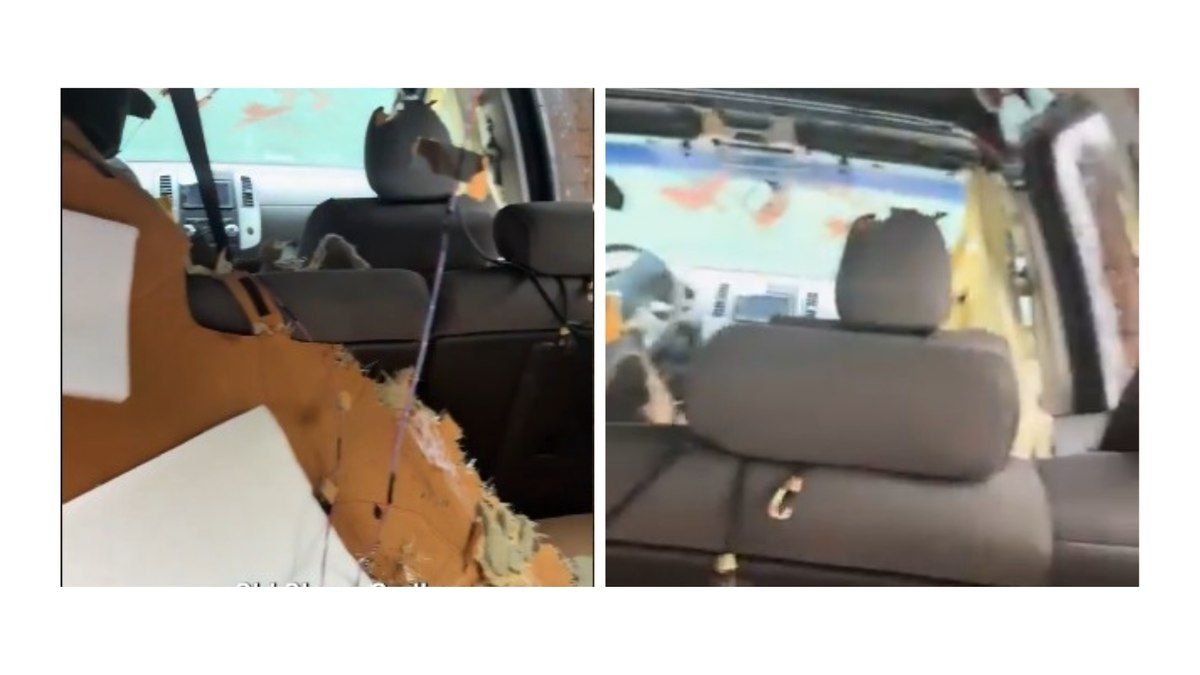 Urso causa destruição em carro em busca de comida