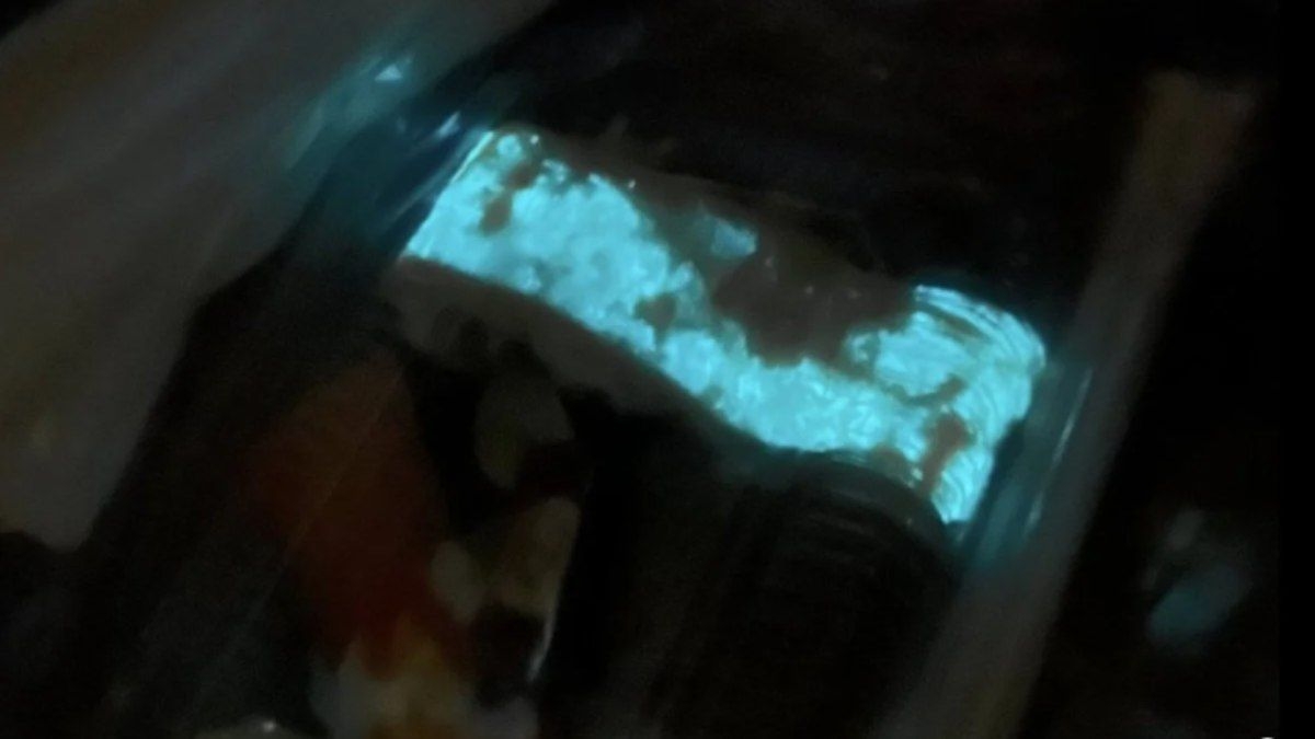 Sushi que brilha no escuro gera alerta na Tailândia