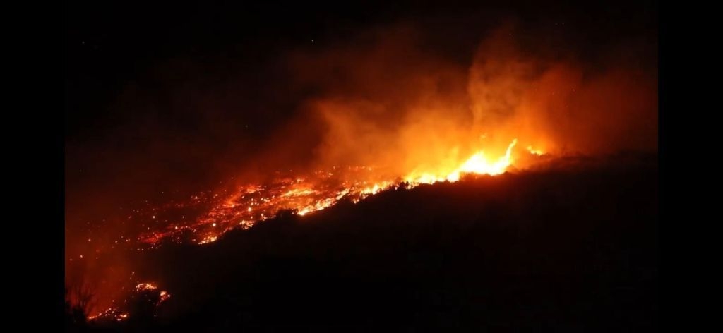 Incêndios florestais afetam área rural na Síria