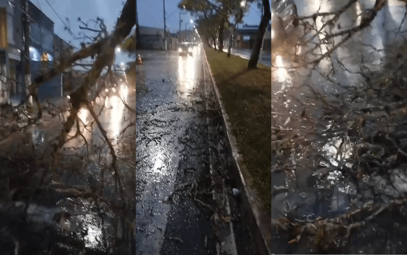 Chuva causa queda de árvore e falta de energia em Pouso Alegre