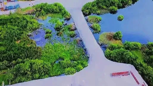 Imagens mostram avanço de afundamento do solo de mina com risco de colapso em Maceió: 'Parte molhada ampliou'