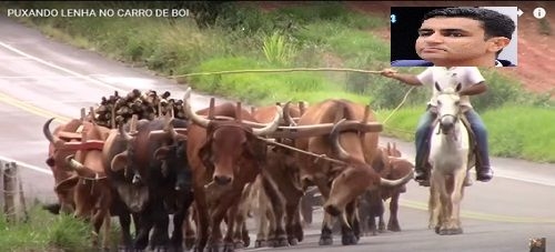 A sobrevivência de Arthur Lira pós decisão de JHC