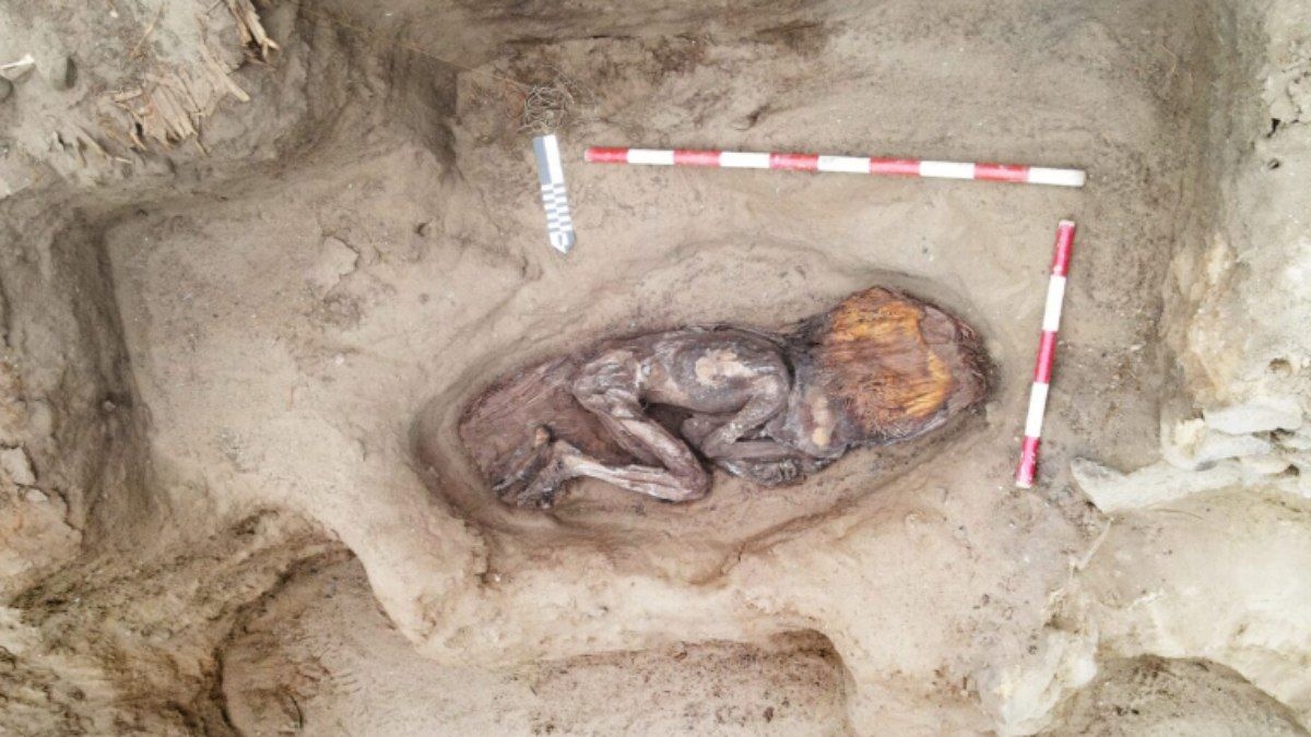 Descoberta de múmia de 5 mil anos reescreve história