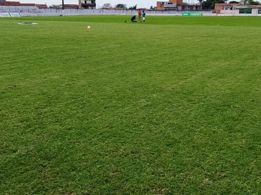 Federacao desenvolve projeto para melhorar gramados de Alagoas