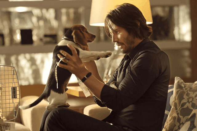 A Origem da Vingança em John Wick