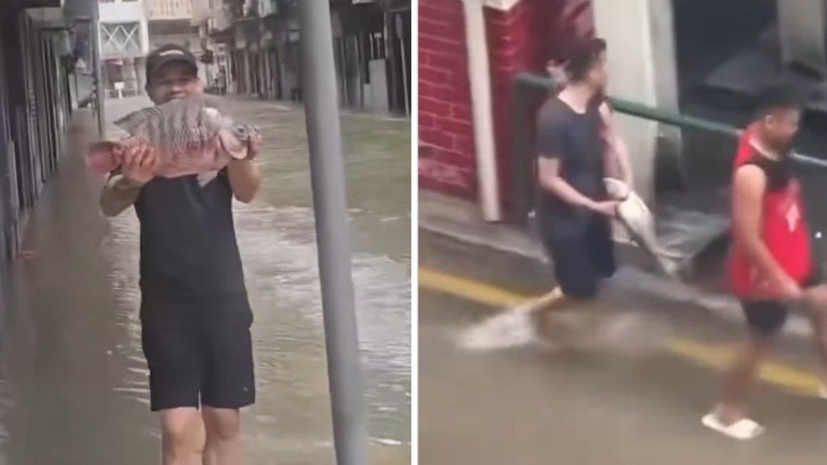 Peixes invadem ruas de Macau após tufão Ragasa
