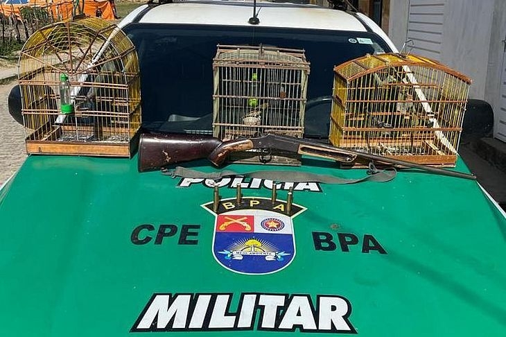 Polícia Ambiental apreende seis armas, um simulacro e resgata cinco aves silvestres
