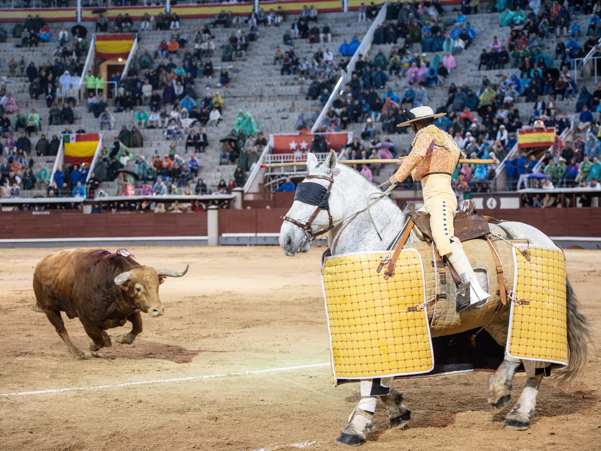 Declínio do Touro e Ousadia de Morante na San Isidro