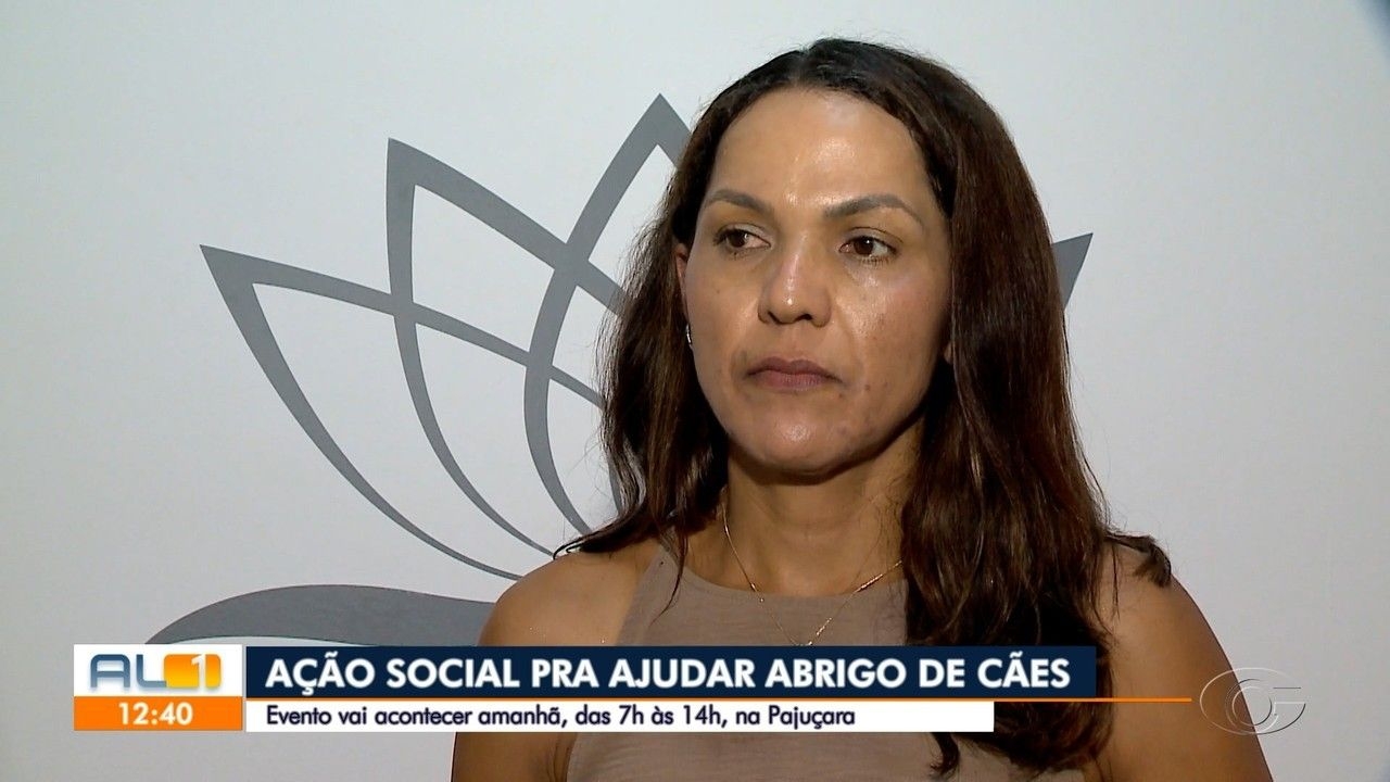 Suspeito de atropelar cães diz que 'não viu animais'