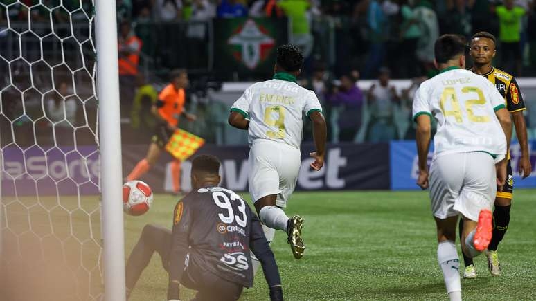 Palmeiras acredita na força da sua torcida para vencer o tricampeonato do Paulistão