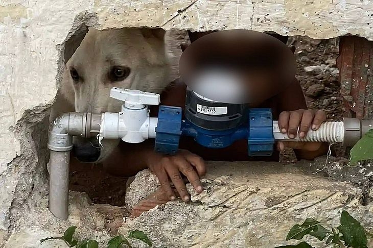 Criança é encontrada nua e ao lado de cão após denúncia de abandono de incapaz, em União