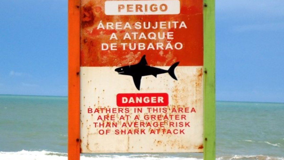 Ataque de tubarão provoca morte e ferimentos graves na Austrália