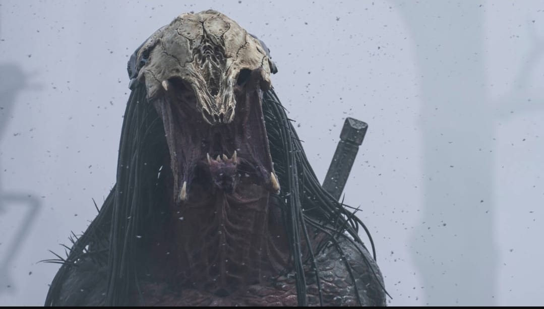 O monstro vem aí! Foi o que nos disseram muitos penedenses.