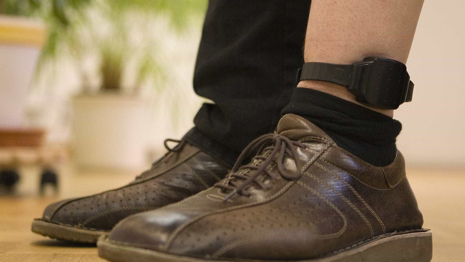 Réu do 8/1 com tornozeleira é flagrado em invasão na terra indígena mais desmatada do país