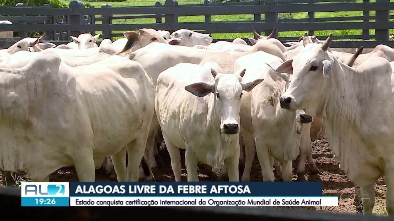 Alagoas é reconhecida livre de febre aftosa sem vacinação