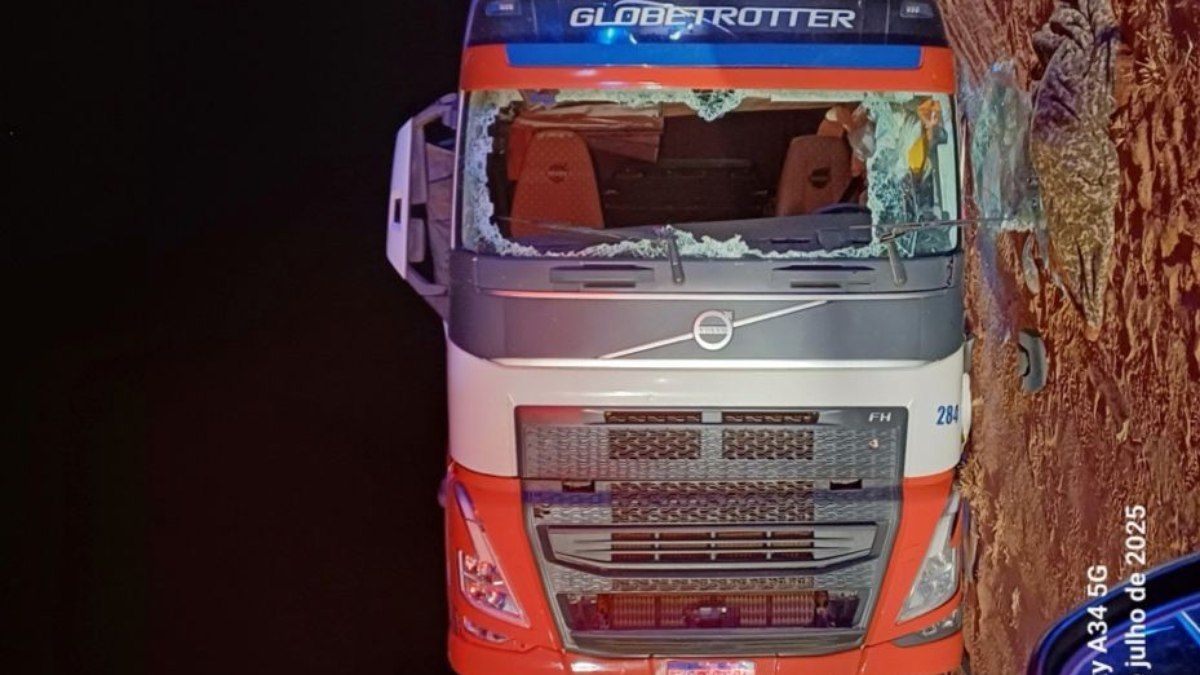 Motorista provoca fuga e tomba carreta em Goiás